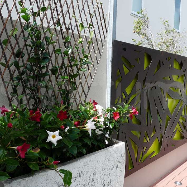 Sanctum timber Saigon 1